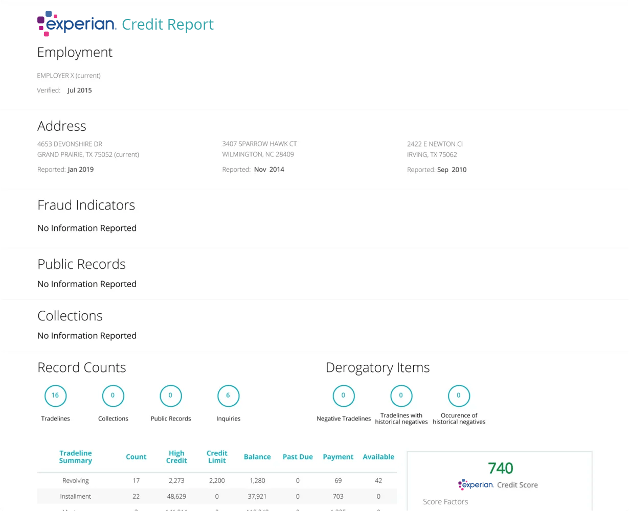 Credit & Background Report-e1